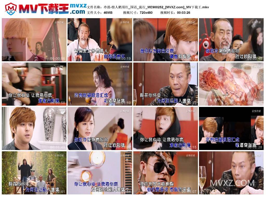 冷漠-情人鹤顶红_国语_流行_ME900252